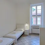Palmito *