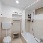 Palmito *